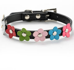 Sweet Flower Collar