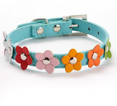 Sweet Flower Collar