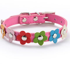 Sweet Flower Collar