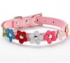 Sweet Flower Collar