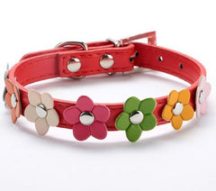 Sweet Flower Collar