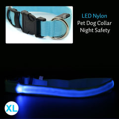 Pet Dog Collar Night Safety Flashing Glow