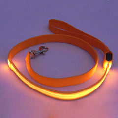 Dog LED Leash Safety Glow Leash