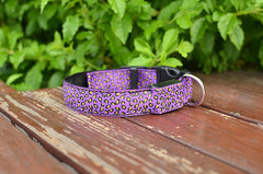 LED Pet Luminous leopard Dog Collar