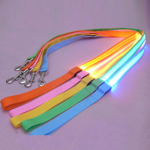 Dog LED Leash Safety Glow Leash