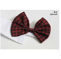 Dogs Bowtie Collar Accessories